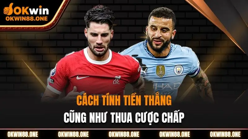 Cách tính tiền thắng cũng như thua cược chấp Okwin
