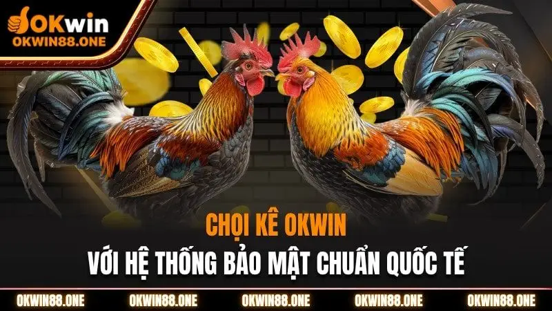 Đá gà Okwin với hệ thống bảo mật quốc tế