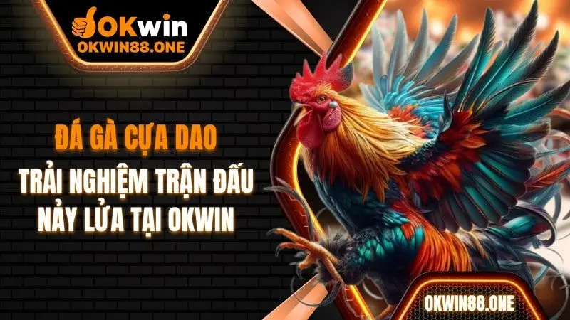 Đá gà cựa dao trải nghiệm trận đấu nảy lửa OKWIN