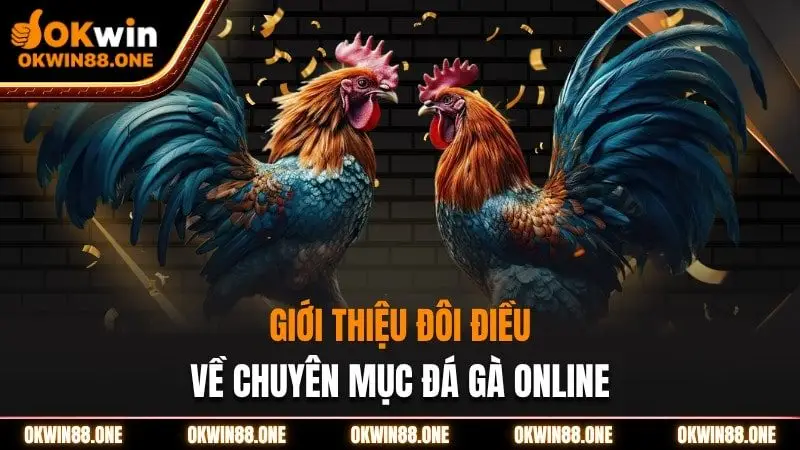 Giới thiệu đá gà online Okwin