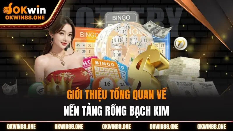 Giới thiệu tổng quan về nền tảng rồng bạch kim OKWIN