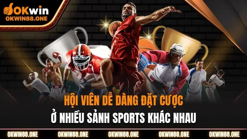 Hội viên dễ dàng đặt cược ở nhiều sảnh sports