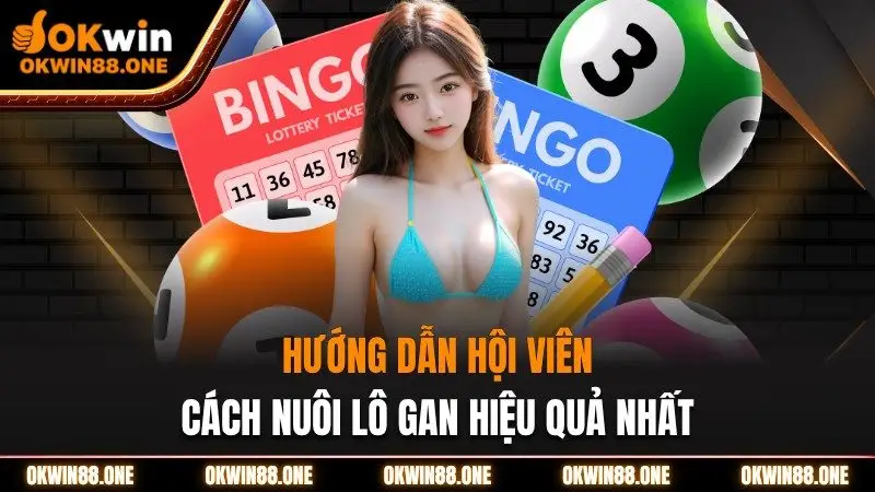 Hướng dẫn hội viên OKWIN cách nuôi lô gan