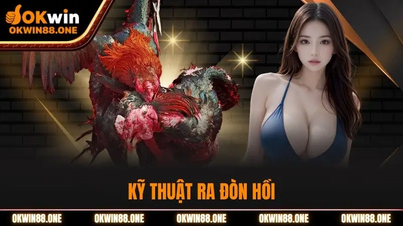 Kỹ thuật ra đòn hồi OKWIN