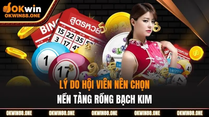 Lý do hội viên nên chọn nền tảng rồng bạch kim