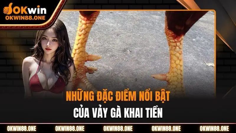 Những đặc điểm nổi bật của vảy khai tiền OKWIN