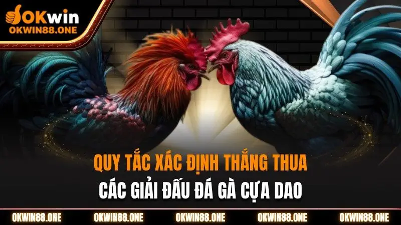 Quy tắc xác định thắng thua giải đá gà cựa dao OKWIN