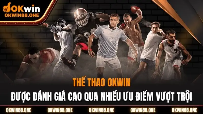 Thể thao okwin được đánh giá cao