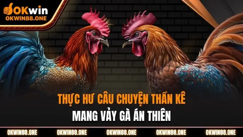 Thực hư câu chuyện thần kê mang vảy gà án thiên OKWIN