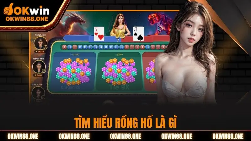 Tìm hiểu rồng hổ là gì OKWIN