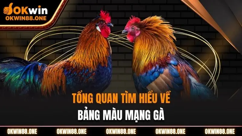 Tổng quan tìm hiểu về bảng màu gà OKWIN