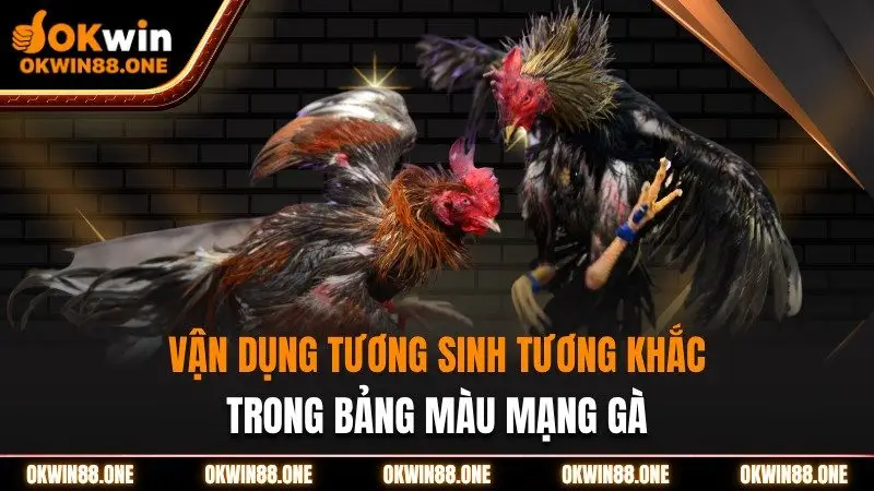 Vận dụng tương sinh tương khác trong bảng màu mạng gà OKWIN