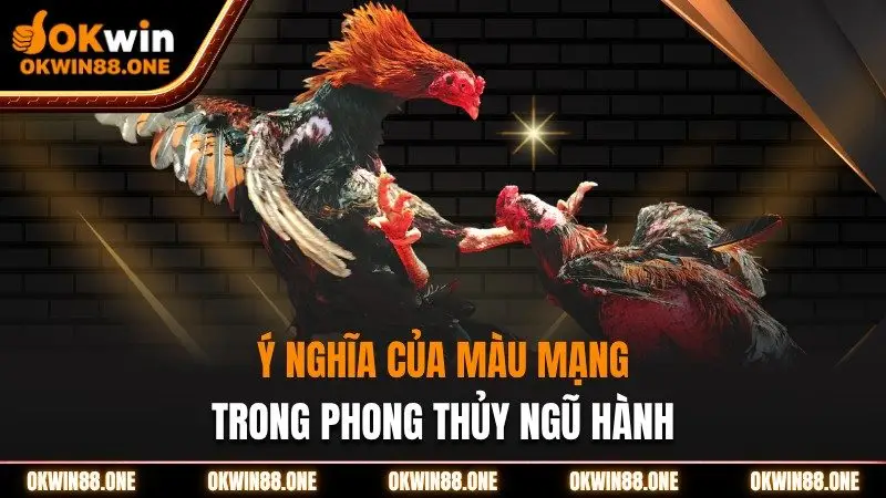 Ý nghĩa của màu mạng trong phong thủy ngũ hành OKWIN